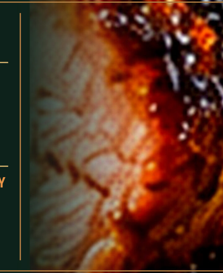 Raunchy Rooster – The Dirty Dish – MAPLE HONEY PORK
