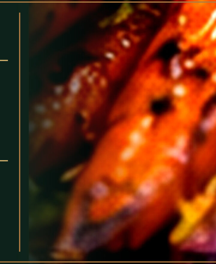 Raunchy Rooster – The Dirty Dish – HONEY CARROTS