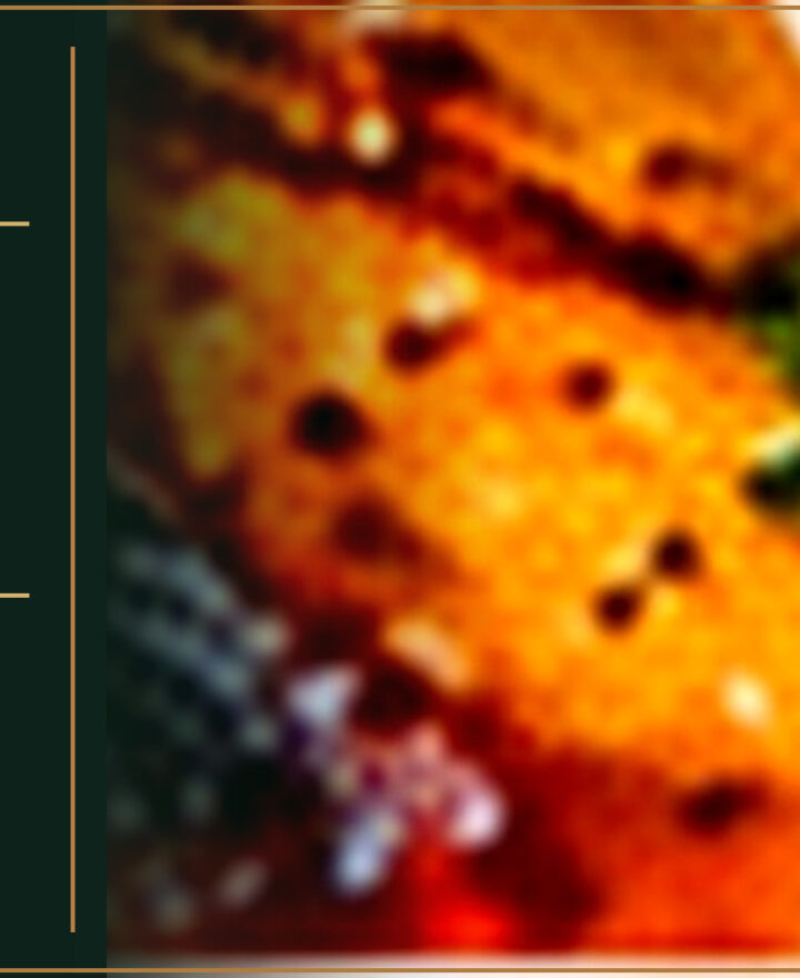 Raunchy Rooster – The Dirty Dish – CHICKEN SKEWERS